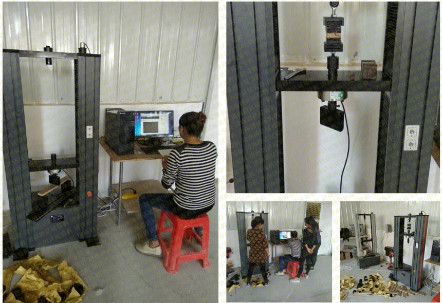 �����K������������f��ԇ�C(j��)�͑��F(xi��n)���D